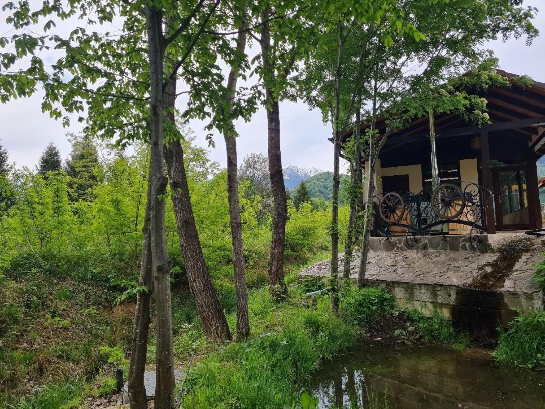 Pensiunea Valceaua Zanelor Dragus Dış mekan fotoğraf